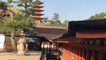 ランド ビュー / 19