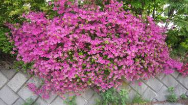 メイン イメージ / 1