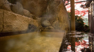 和室　スーペリアルーム　（露天風呂付）　庭園側（一名利用不可）