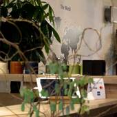 トリップ＆スリープホステル（愛知県 ゲストハウス・ホステル・ドミトリー） / 3