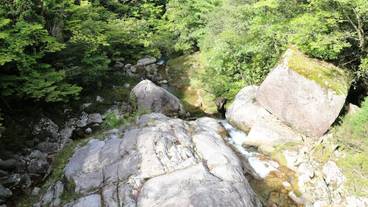 観光スポット / 12