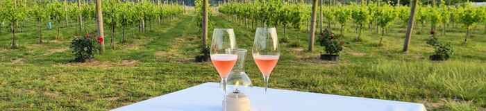 ワイナリーや美術館がホテルに！？全国の「泊まれる〇〇」で非日常気分に浸ろう【7選】