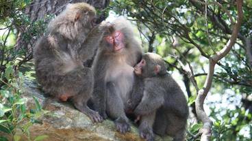 施設の敷地 / 10