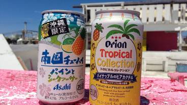 施設の敷地 / 11