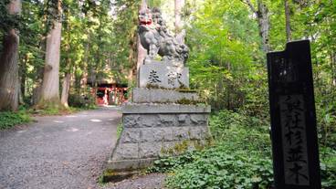 観光スポット / 5