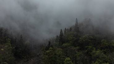 施設からの眺望 / 22