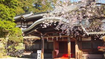 観光スポット / 37