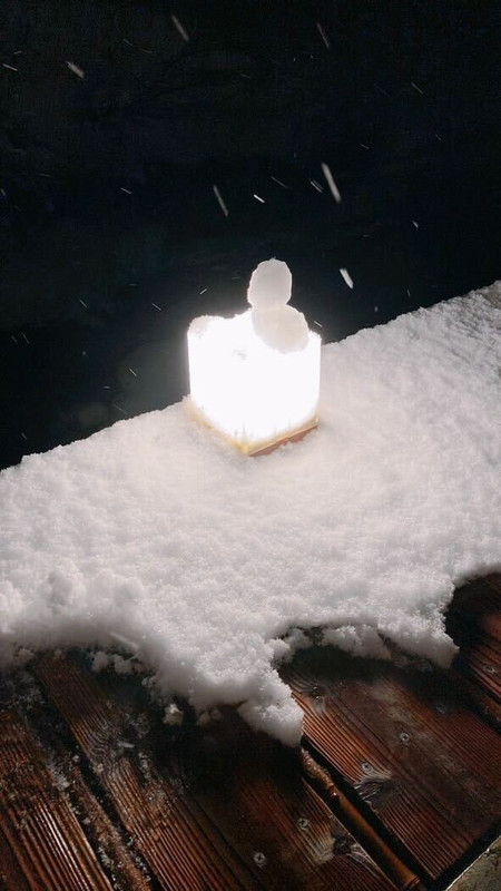 miz0205xxさんの写真 / 8