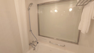 エグゼクティブダブル(リラックスタイプ) 禁煙 エアウィーヴ仕様(スカイビュー)