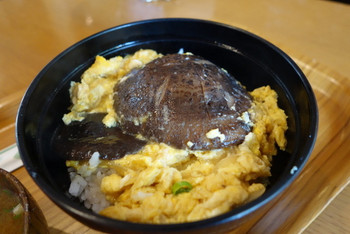 「どんこ亭」料理 68588 