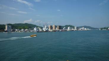 ビーチ / オーシャン ビュー / 7