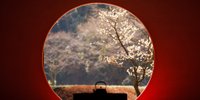 王道の鎌倉散策を楽しもう。鎌倉観光におすすめのお寺・神社