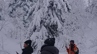 スノー スポーツとスキー / 1