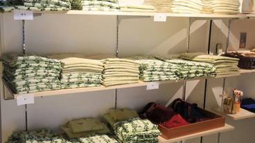 客室の設備とサービス / 15