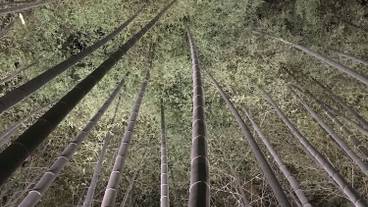 施設からの眺望 / 3