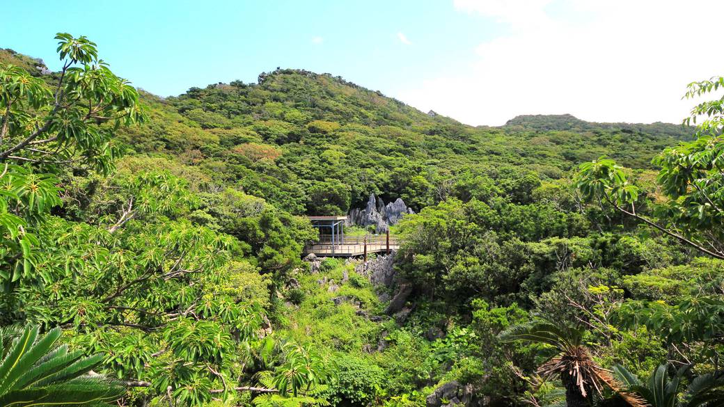 大石林山 / 2
