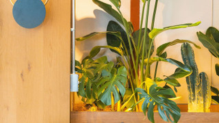 スーペリアスタジオスイート