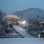 冬だから行きたい！鎌倉のほっこりできるスポット巡り7選