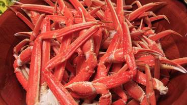 ビュッフェ / 15