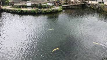 観光スポット / 3