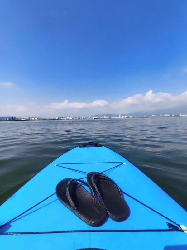 サーフィン / ボディボード