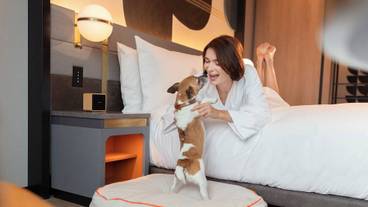 ペット同伴可 / 3