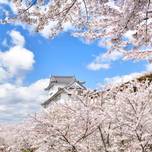 【岡山】春のおすすめ観光スポット7選♡”晴れの国”でのんびり女子旅を
