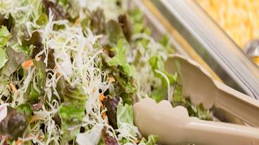 ビュッフェ サラダ / 2