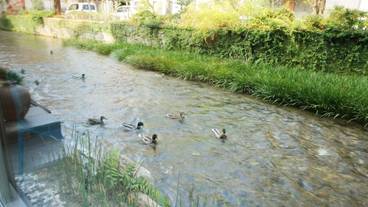 施設からの眺望 / 8