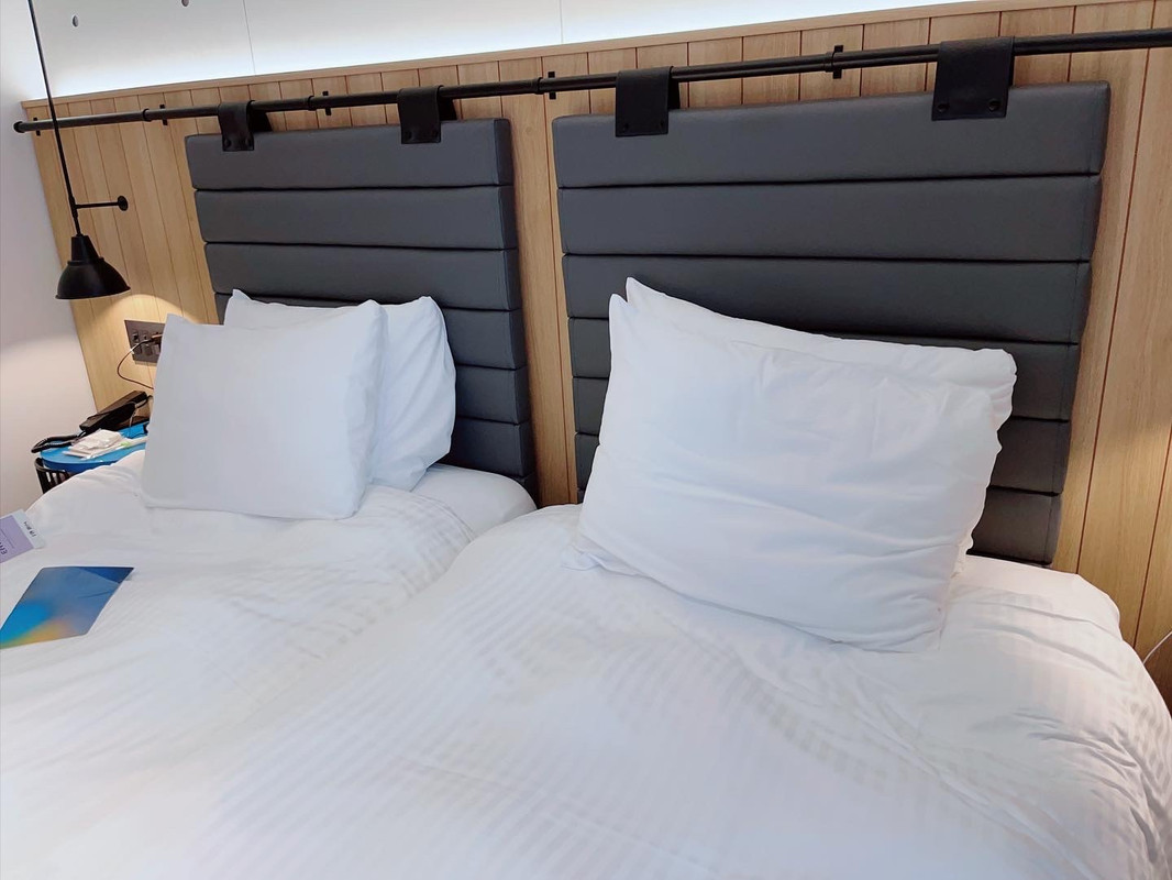 icotto_ynさんの写真 / 1