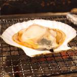 新鮮魚介を浜焼きでリーズナブルに♪居酒屋「赤羽 トロ函」