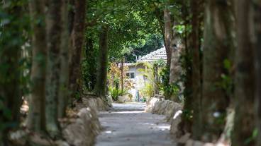 ハンティング / 1