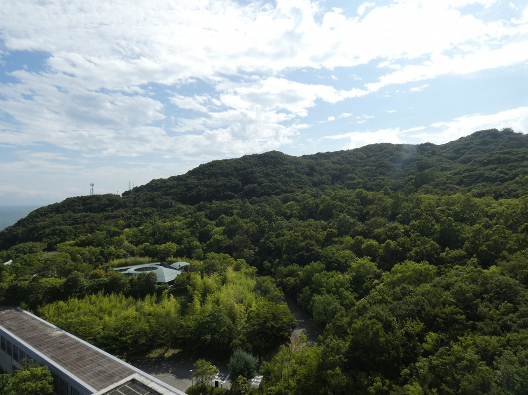 部屋からの眺望