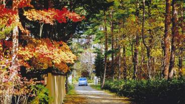 施設の敷地 / 14