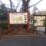 新宿中央公園（シンジュクチュウオウコウエン）