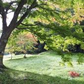 ホテル浦嶋荘（宮城県 旅館） / 4