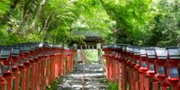 「ザ・京都」な写真が撮れる♩京都市内のおすすめ観光スポット12選