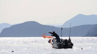 施設からの眺望 / 33