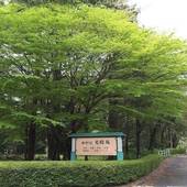 日光東照宮晃陽苑(栃木県 旅館) / 4