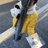 yurumama_esakaさんの写真