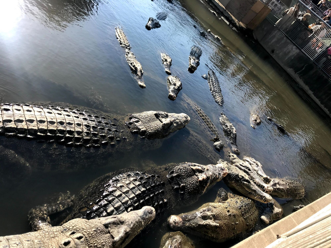 icotto_ihさんの写真 / 2