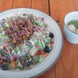 やまぼうし（ヤマボウシ）