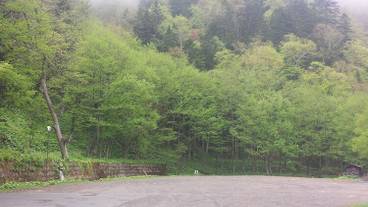 マウンテン ビュー / 30