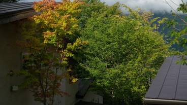 施設からの眺望 / 12