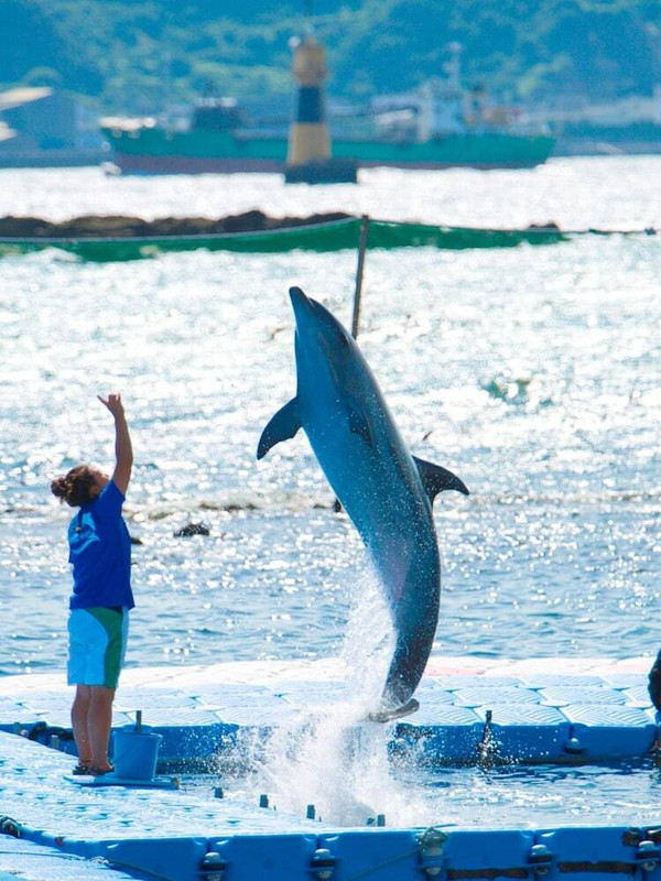 フィットネス設備