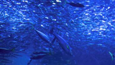 観光スポット / 20