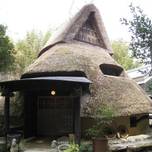 縄文時代にきちゃった！?大阪にあるカフェ「まだま村」