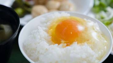 朝食ビュッフェ / 14