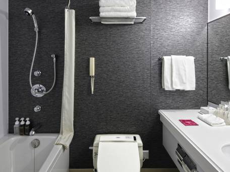 ANAクラウンプラザホテル新潟 / 4