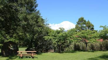 子供用の遊び場 - 屋外 / 4